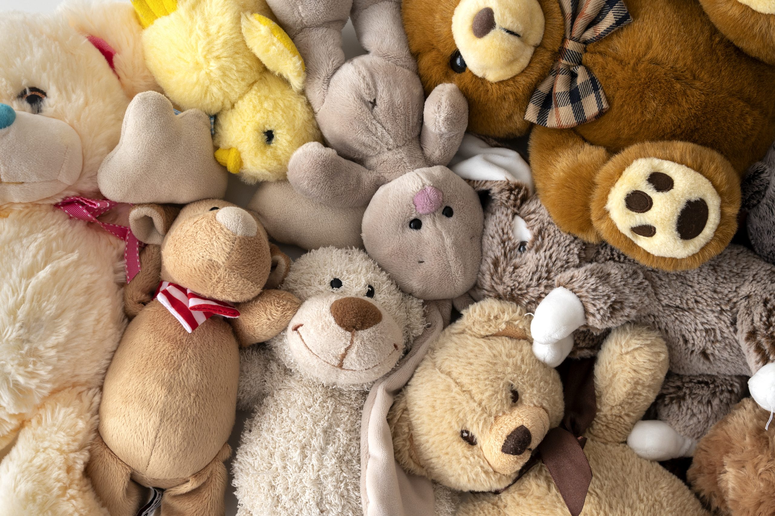 Fluffy Toy Texture